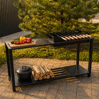  Мангал стаціонарний із поличкою та дровницею у комплекті  із вологостійкою фанерою без кольору